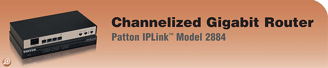 IPLink� Model 2884 - Channelized Gigabit T1/E1 Router