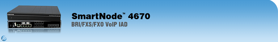 SmartNode� 4670&nbsp;BRI/FXS/FXO VoIP IAD