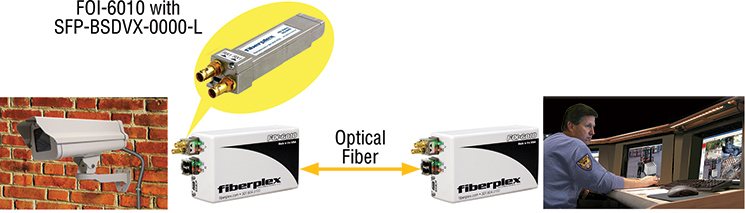 SFP-BSDV applications