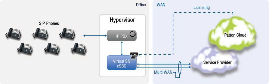 Virtual SmartNode SIP Use Case