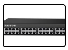 Patton Electronics Co 570//580 ethernet surge protector