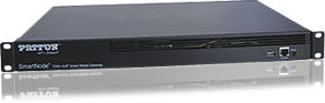 SmartNode 10100 - SS7 Media Gateways (TDM+VoIP SS7 Gateway) with T1/E1/J1
