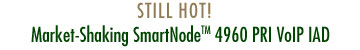 STILL HOT! - Market-Shaking SmartNode™ 4960 PRI VoIP IAD